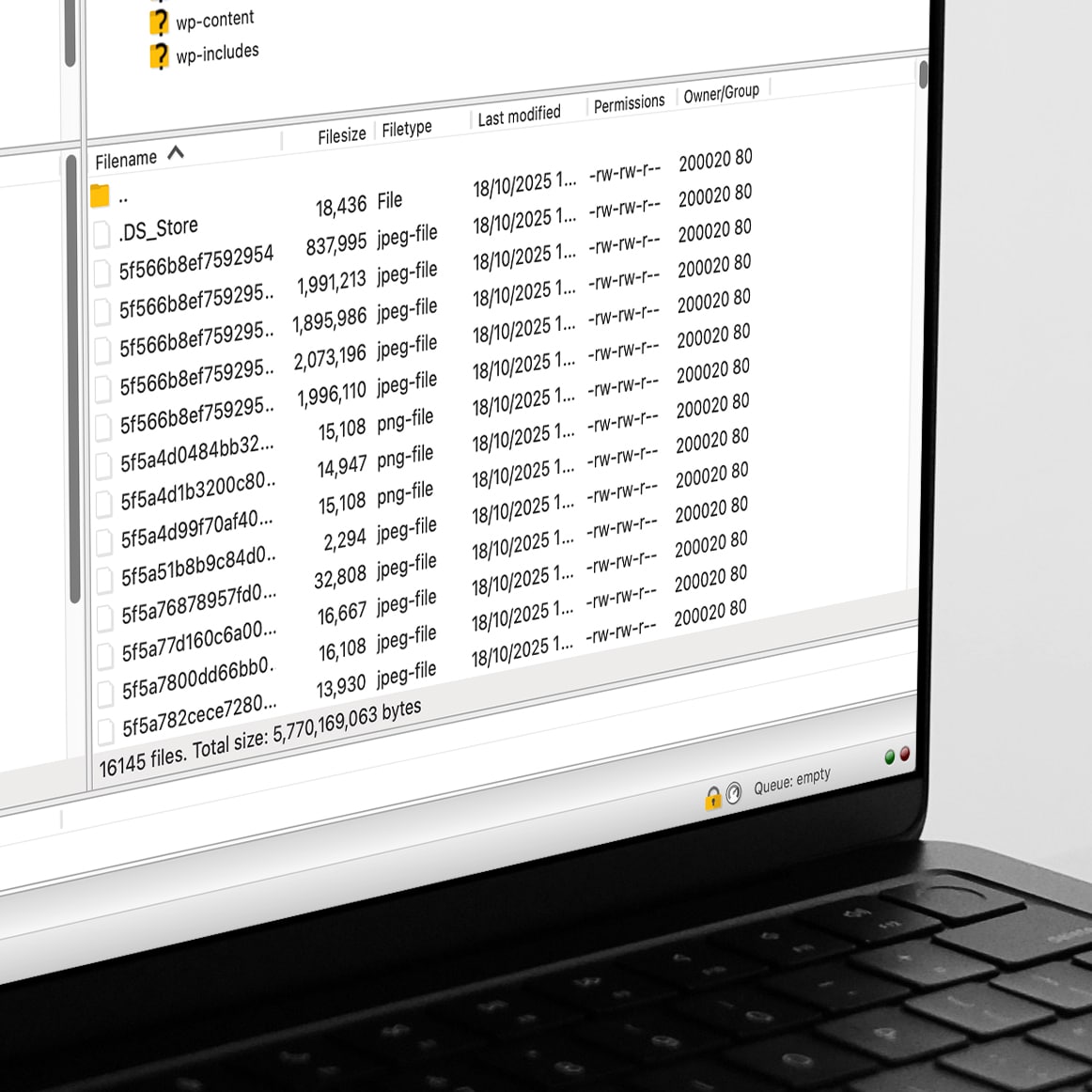 Large-scale WordPress content migration for the Am website, importing 16,000+ media files; Design Tribe web design and development in Wales.