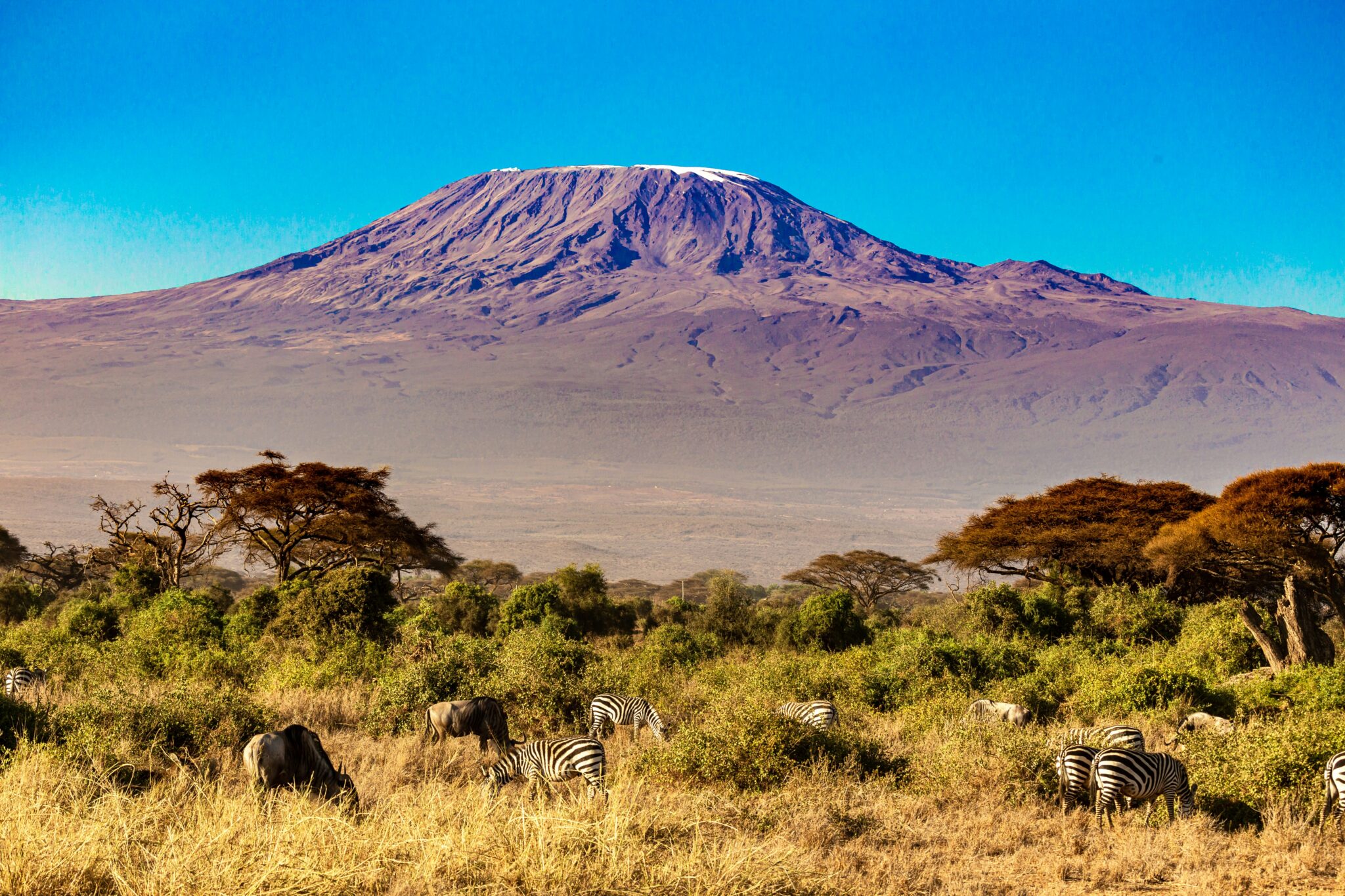 Mount Kilimanjaro landscape used as hero image for Kenge Expeditions brand identity project